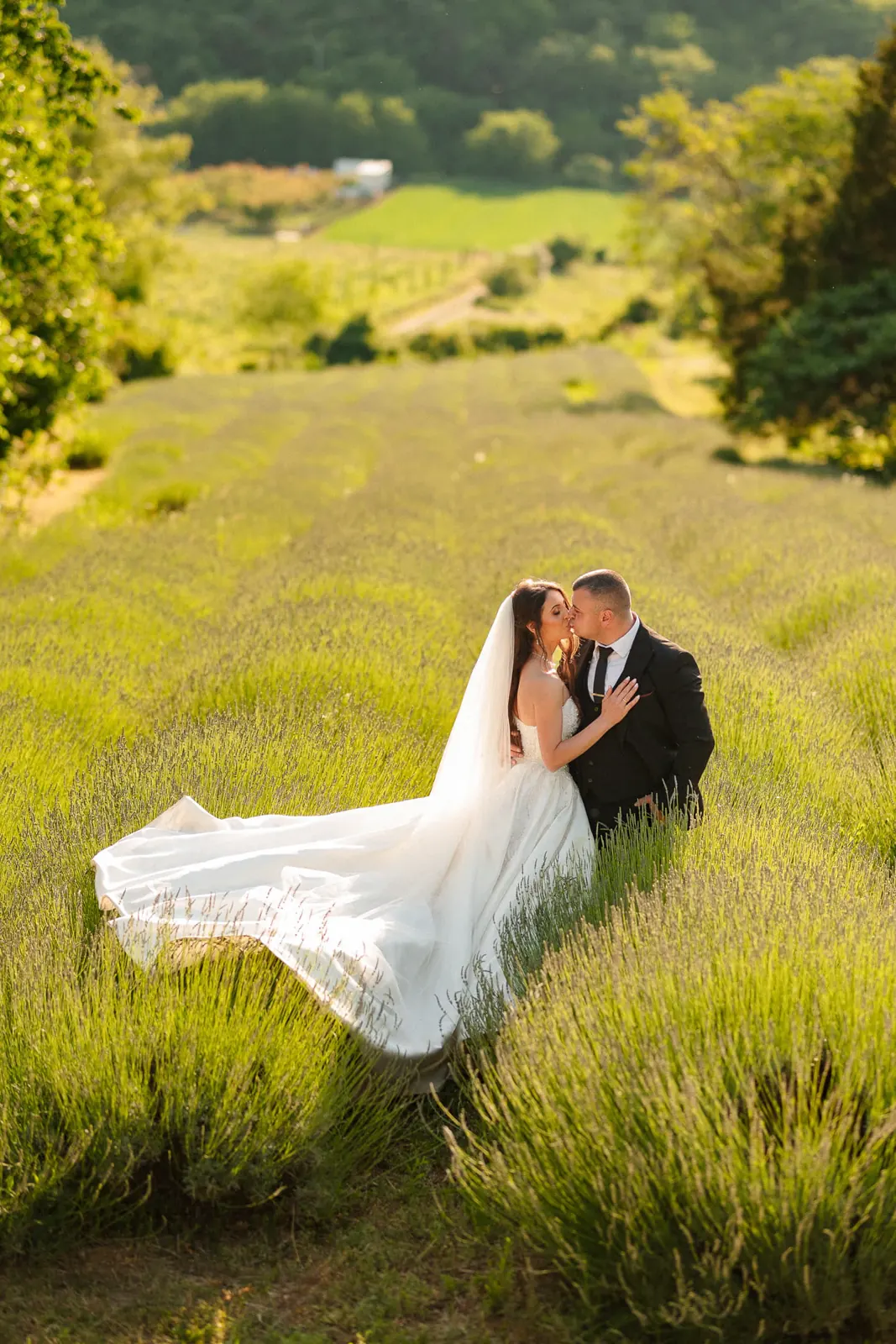 Wedding portfolio 135