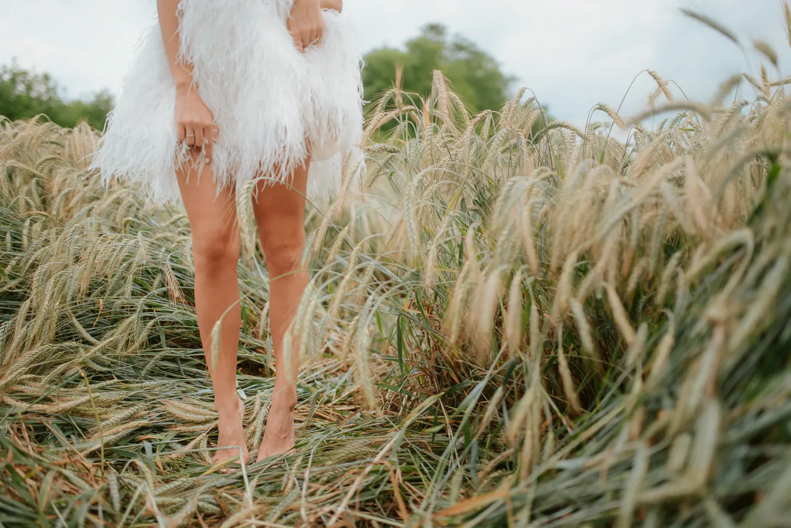 Wedding portfolio 123